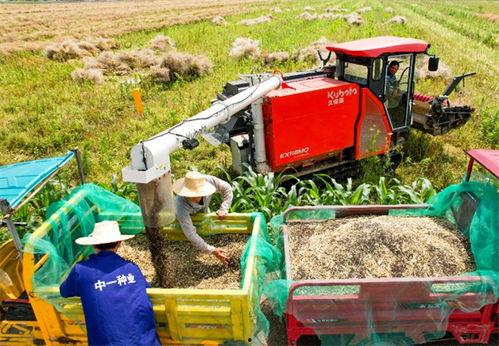 垫江吃瓜最新事件爆料新闻,揭秘背后惊人真相